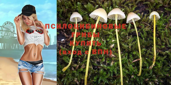 мяу мяу мука Алзамай