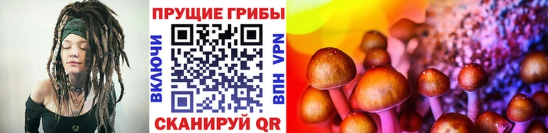 Псилоцибиновые грибы GOLDEN TEACHER  darknet официальный сайт  Нытва 